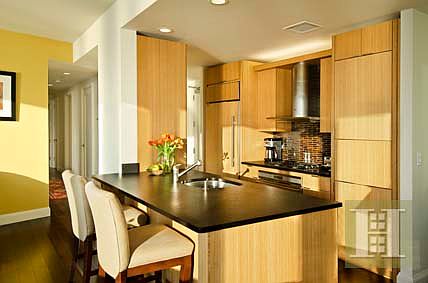 2nd image of 70 Little West St APT 19E