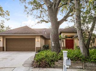 16105 Dowling Ct, Tampa, FL 33647