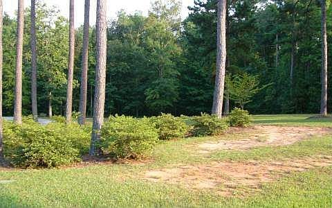 2nd image of 124 Beaver Creek Dr