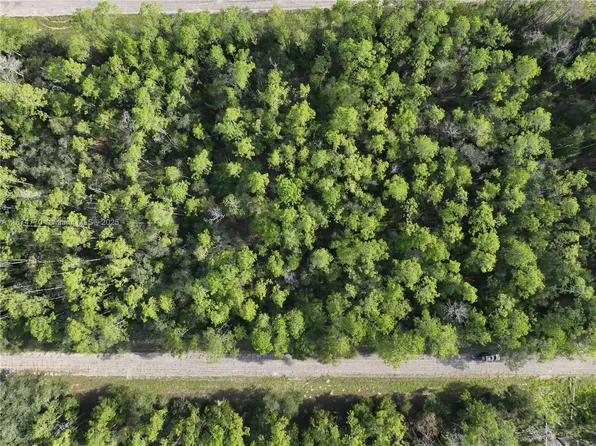 598 E Marquette Ln, Citrus Springs, FL 34434