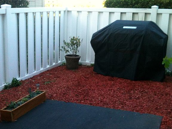 Back Yard Right