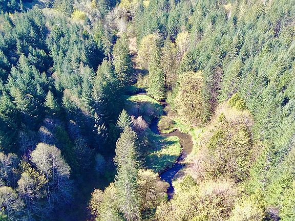4th image of S Fork Rd