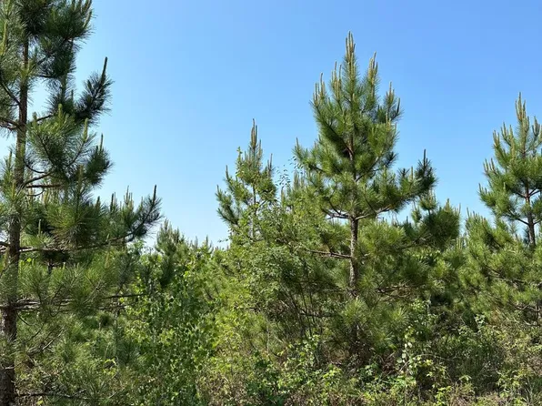 On Burrows Lake Rd, Tomahawk, WI 54487