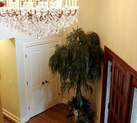 3rd image of 3632 Chapelton Ct