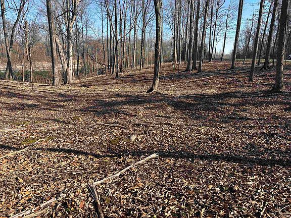 4th image of 0 S Taylor Ridge Rd