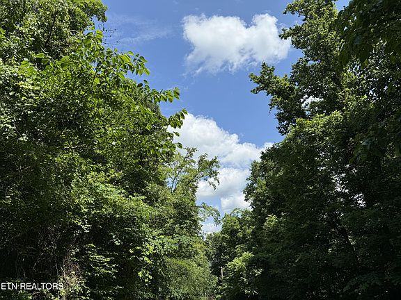 3rd image of 254 Scenic Hill Ln