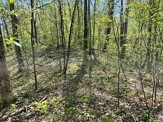 2nd image of Diamond Branch Rd