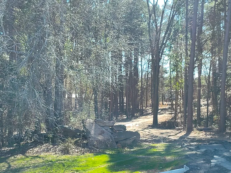 5890 FM 1520 #5 — Photo 5