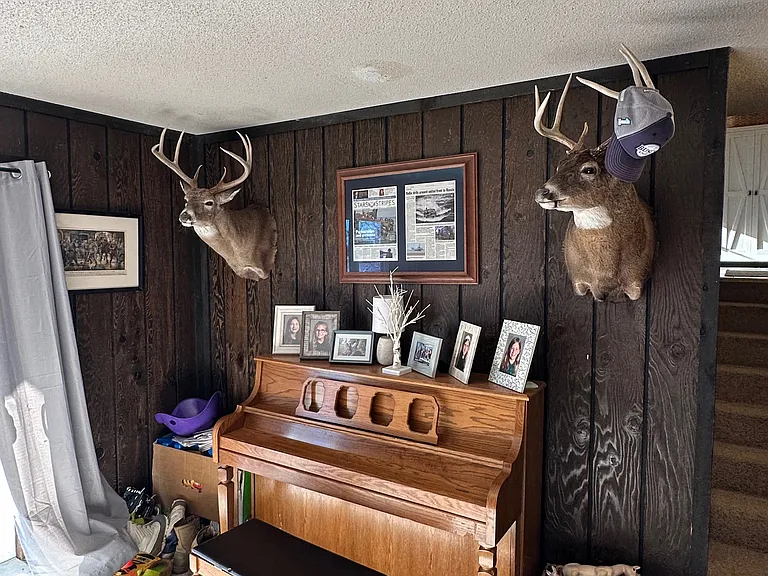 And if you enjoy wildlife, you will appreciate the view from this lower-level space. The current owner was an avid deer hunter and successfully bagged a big buck right out the back door _ a reminder of the natural surroundings this property enjoys.