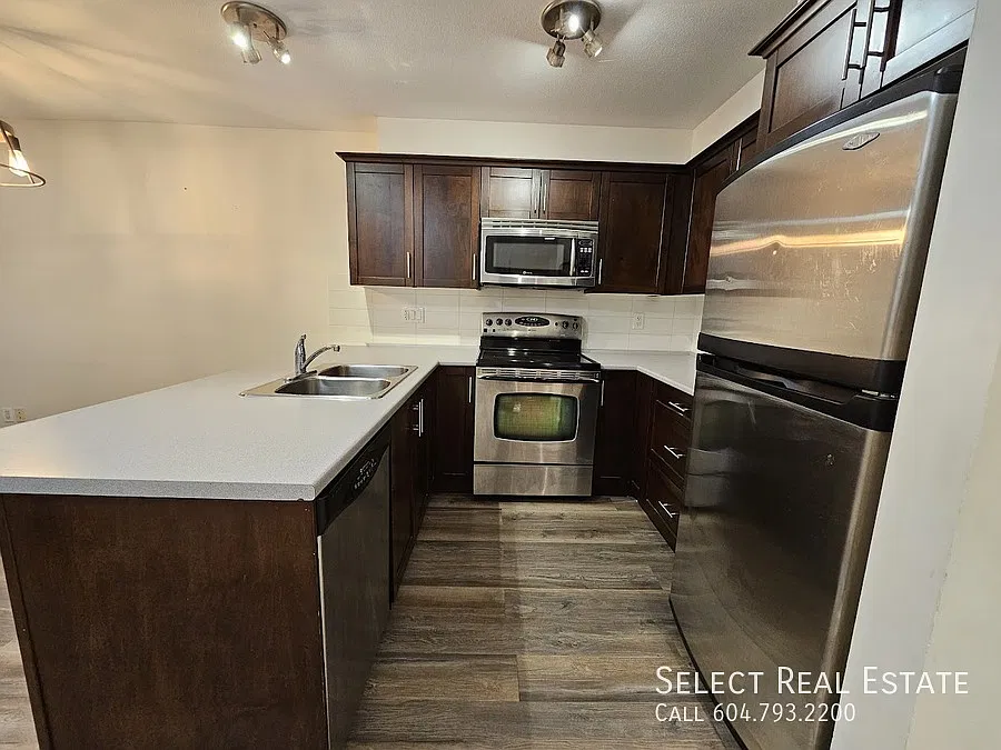 1 bed, 570 sqft, $1,295 — Photo 3