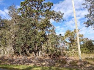 3 Malauka Radial Run, Ocklawaha, FL 32179