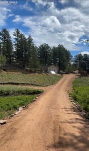 1304 Kiowa Rd, Florissant, CO, 80816