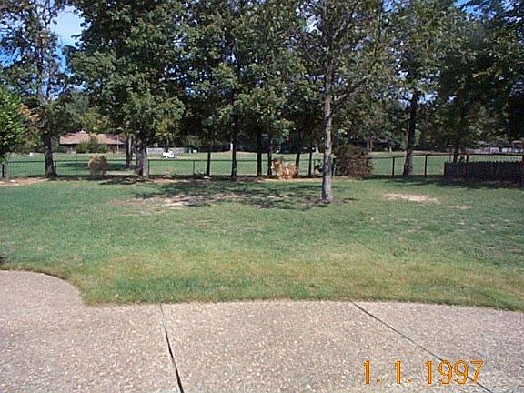 Back Yard 2011
