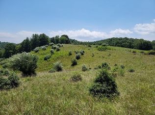 County Line Rd, Mouth Of Wilson, VA 24363