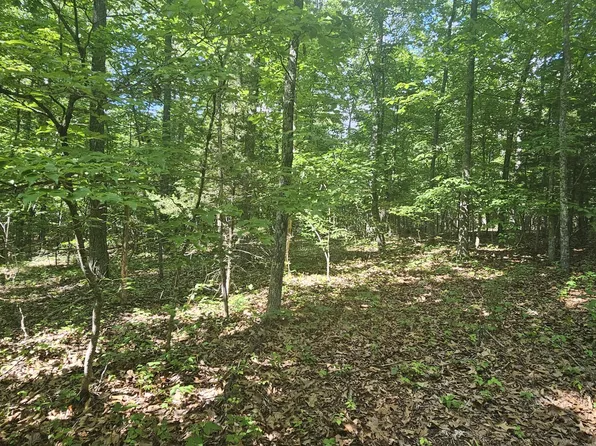 5044 County Road 104, Alton, MO 65606