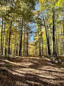 Old J Rd, Athelstane, WI, 54104