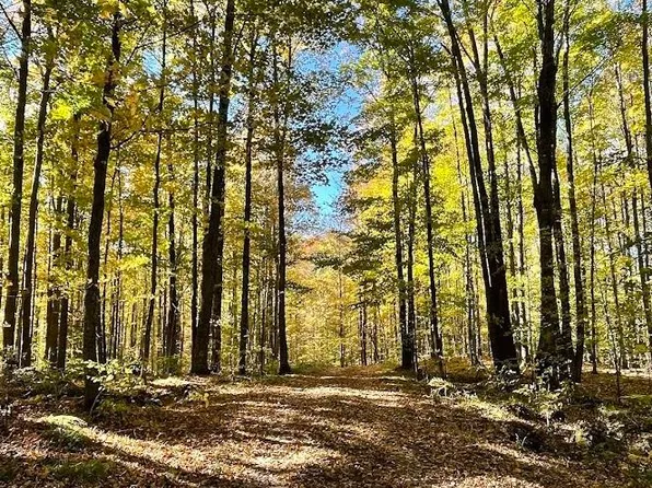 Old J Rd, Athelstane, WI 54104