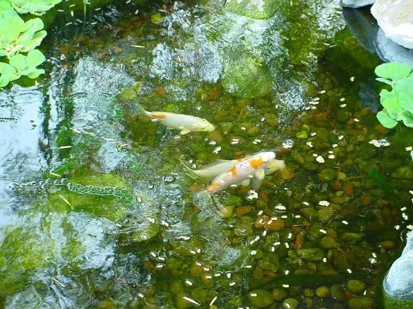 5647 Satsuma Ave, North Hollywood, CA 91601