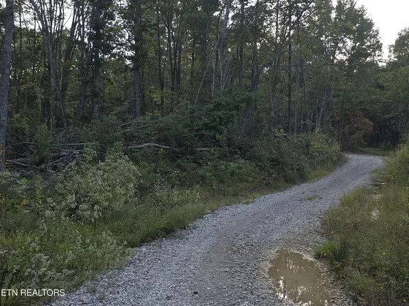 9 Mill Creek Rd #26-009.19, Sunbright, TN 37872