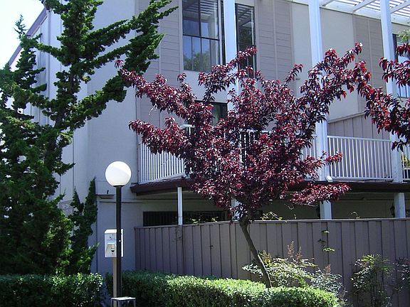 2nd image of 7209 Admiralty Ln