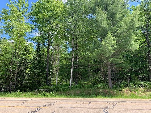 2nd image of Maple Valley Rd