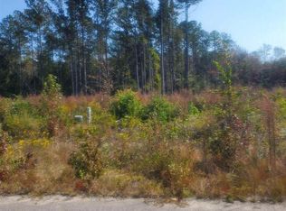 170 Beechleaf Ct, Cameron, NC 28326