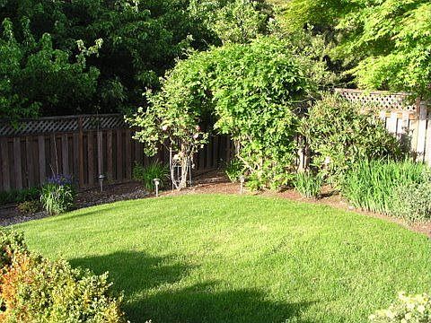 Secluded bkyard