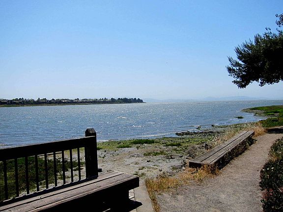 Scenic walkways, the joys of walking along the Bay