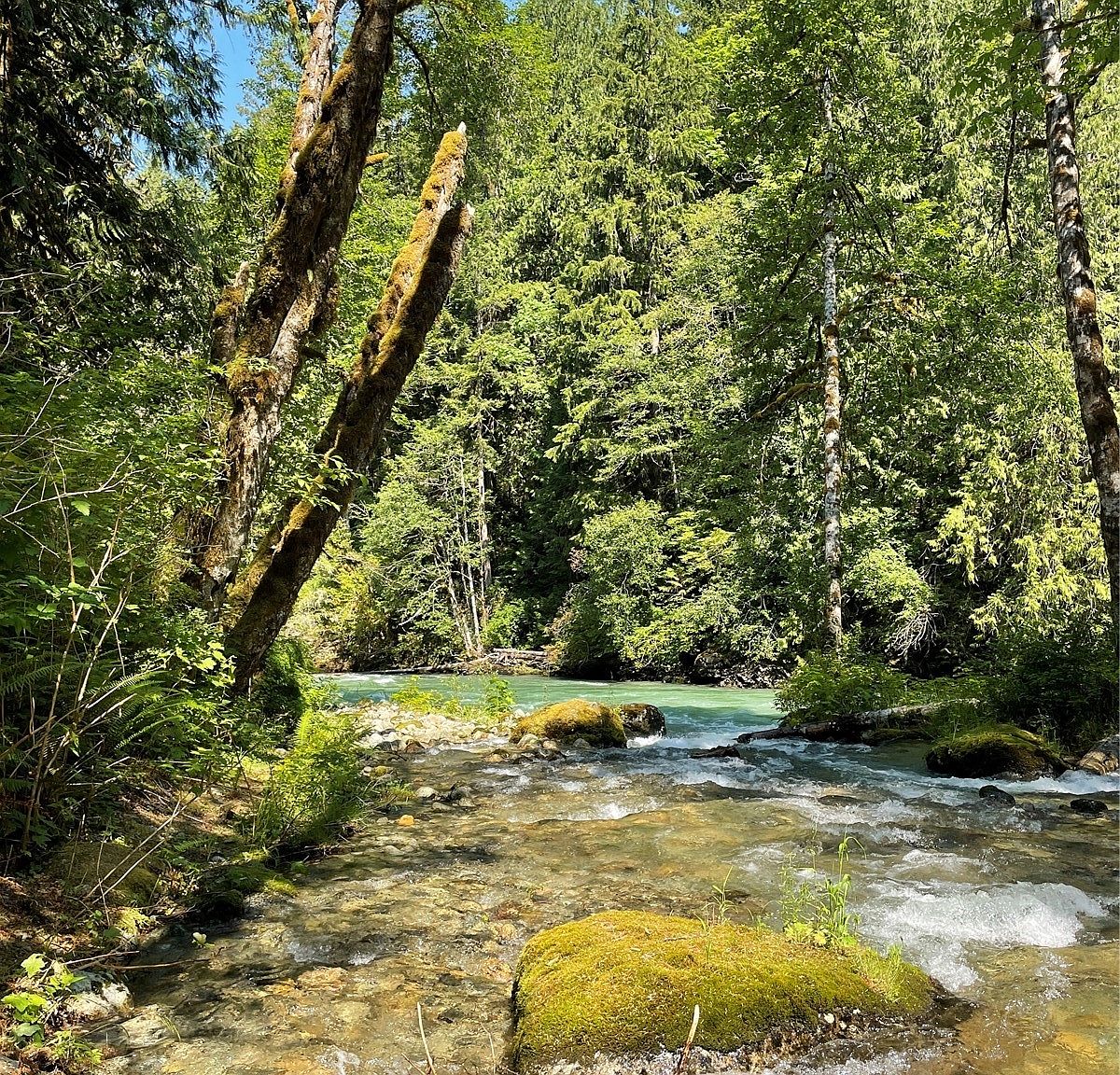 29 Diablo Place Lot 29, Marblemount, WA 98267 Zillow