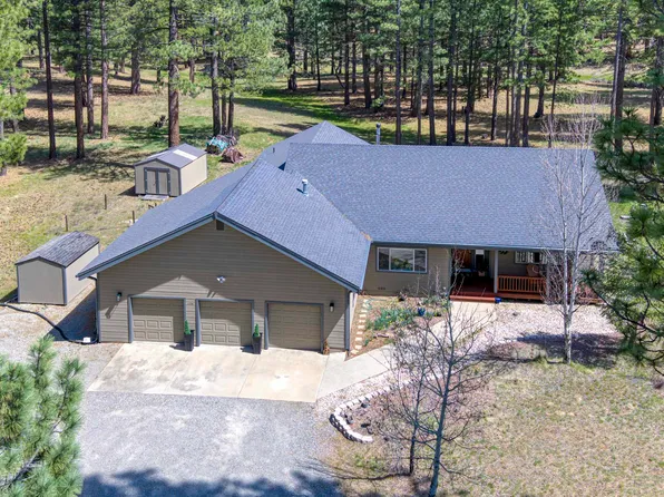 154 Cody Dr, Clio, CA 96106