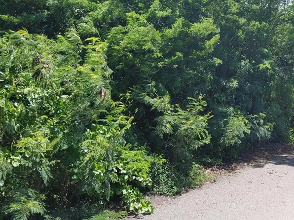 45 Hannahs Rest Est #O, Frederiksted, VI 00840