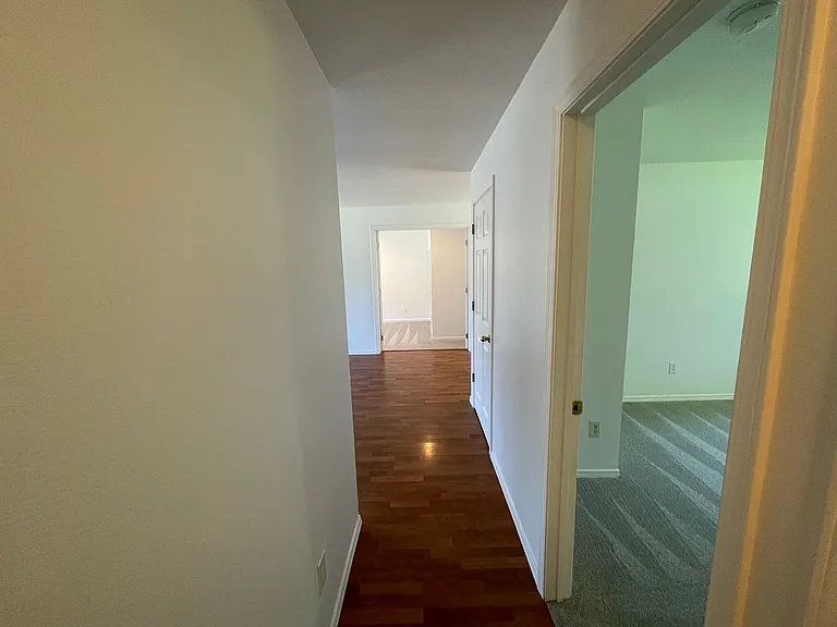 2415 Forest Park Ln — Photo 21