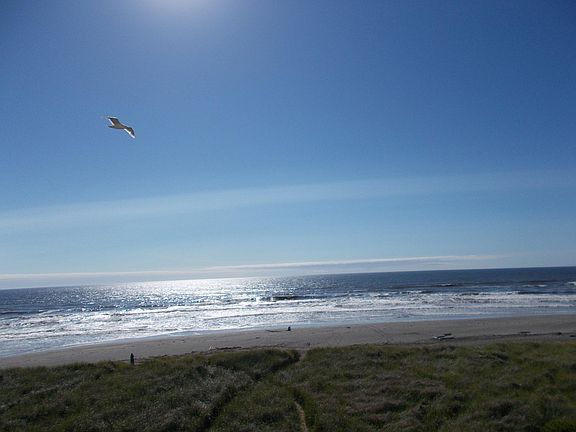 4th image of 1335 Ocean Shores Blvd #S42