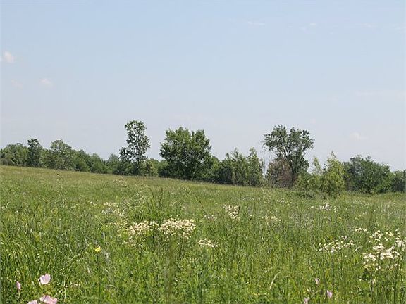 4th image of 50 County Road 2163