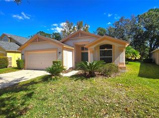10155 Heather Sound Dr, Tampa, FL 33647