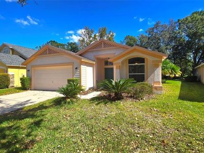 10155 Heather Sound Dr, Tampa, FL, 33647