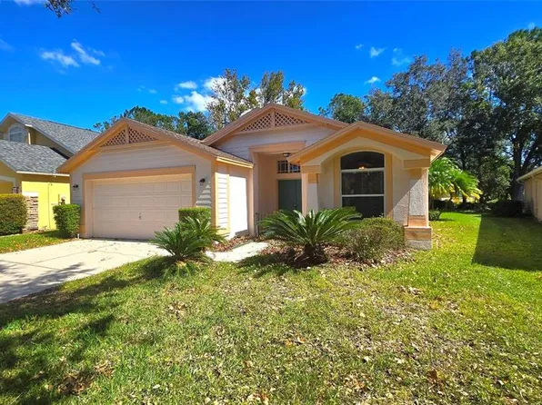 10155 Heather Sound Dr, Tampa, FL 33647