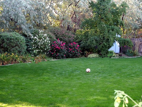 Large private back yard
