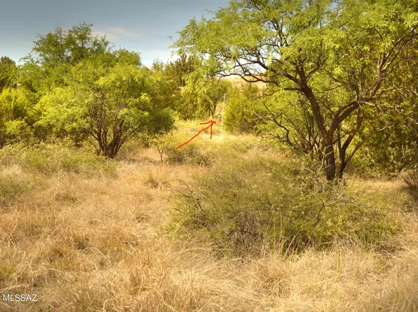 142 Tanglehead Ln Lot 28, Patagonia, AZ 85624