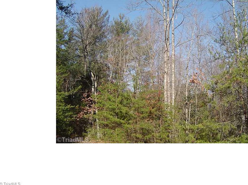 2nd image of Lot # 17 Rainbow Trout