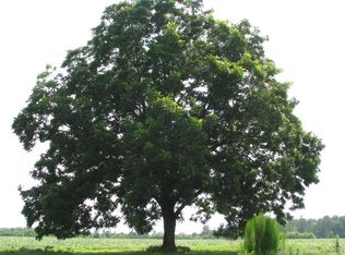 1012 William Henry Cowart Rd, Cobbtown, GA 30420