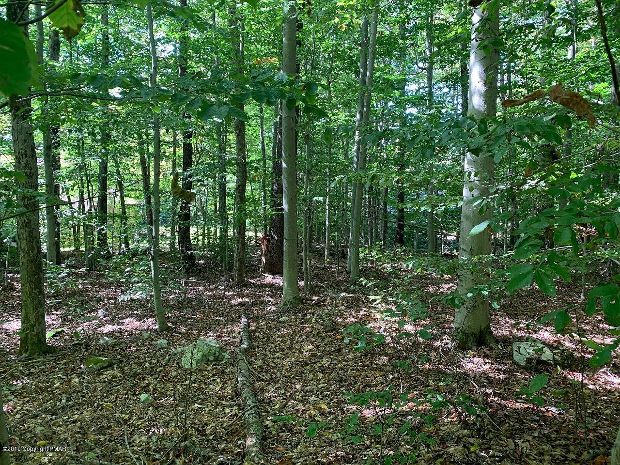 Lots 60/61 Fox Run photo 1