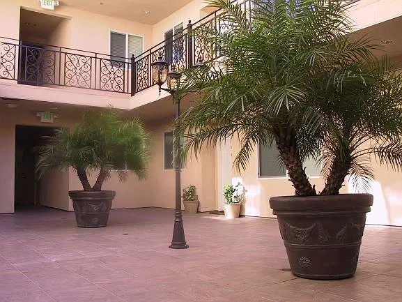 2 bed, 1250 sqft, $2,980 — Photo 2