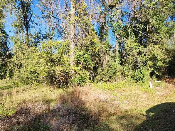 520 Claflin St, Pinewood, SC 29125