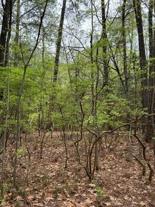 11 & 12 Diamond Dr, Hague, VA, 22469