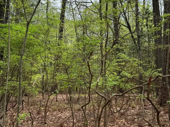 11 & 12 Diamond Dr, Hague, VA 22469