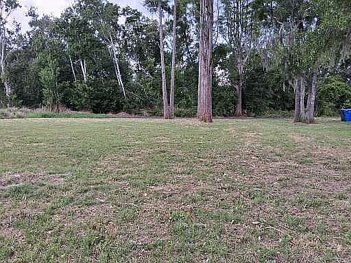 2nd image of 6817 N Blossom Ave