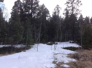 52 Spanish Bit Dr, Lake George, CO 80827