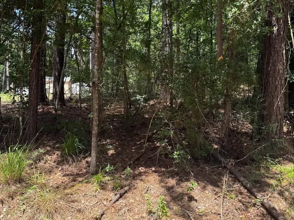 0 Non Such Rd, Livingston, TX 77351