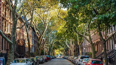 Rented by Forest City Ratner Companies